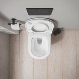 DURAVIT D-Code 2.0 WC-Sitz ohne Absenkautomatik, abnehmbar, Edelstahlscharniere, Weiß