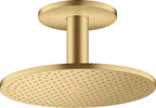 brushed gold optic / Gold