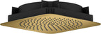 Gold / AXOR Citterio C Kopfbrause 270/270 1jet EcoSmart Deckenintegriert Pol Gold Optic