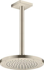brushed nickel