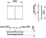 KEUCO Royal Modular 2.0 Spiegelschrank 600 mm, unbeleuchtet, mit Steckdose und USB, silber-eloxiert