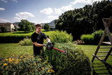METABO Akku-Heckenschere HS 18 LTX 55 – 18 V, 530 mm Schnittlänge, 19 mm Schnittstärke