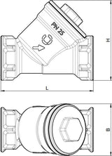 OVENTROP Schmutzfänger PN 25 Maschenweite 600 µm MS DN 8 1/4 Zoll IG