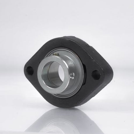 SNR Flanschlager-Gehäuseeinheit USFD206 30 mm oval – Grauguss, 2-Loch, Gewindestifte