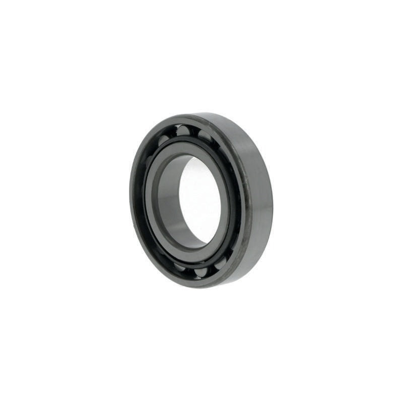 Zylinderrollenlager N209 von NACHI – 45 mm Innen-Ø, 85 mm Außen-Ø, 19 mm Breite, offen