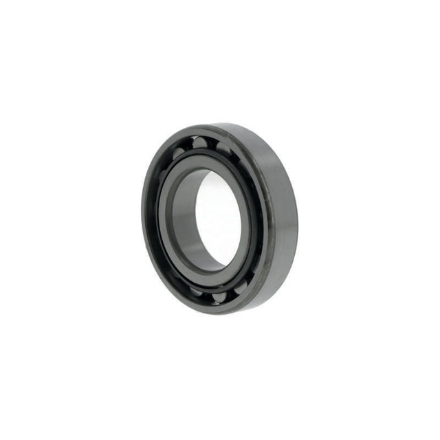 Zylinderrollenlager N209 von NACHI – 45 mm Innen-Ø, 85 mm Außen-Ø, 19 mm Breite, offen