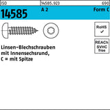 F. REYHER Linsenblechschraube ISO 14585 Form F 2,9x4,5 mm Stahl verzinkt 2000 Stück