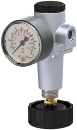 RIEGLER Druckregler Standard G 3/8 Zoll 0,5-10 bar 1000 l/min mit Manometer