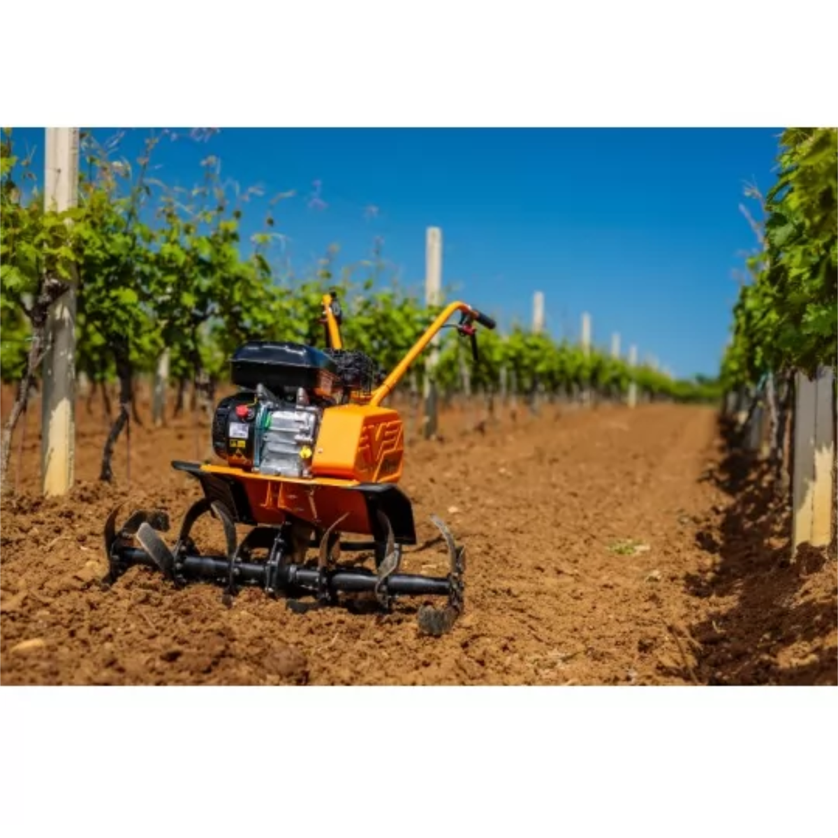 Villager VTB 8511 V - Motorhacke mit 212 cm³ Motor, 85 cm Arbeitsbreite & Rückwärtsgang- VI-060279