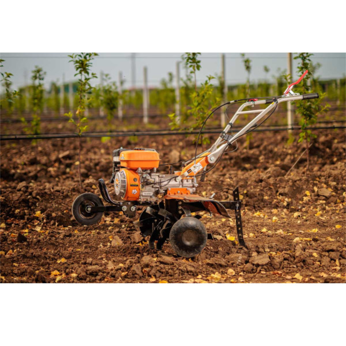 Villager Prime VTB 8421 Benzin-Motorhacke - 212 cm³, 85 cm Arbeitsbreite, 6 Messer, 2+1 Gänge, Direktantrieb- VI-086195